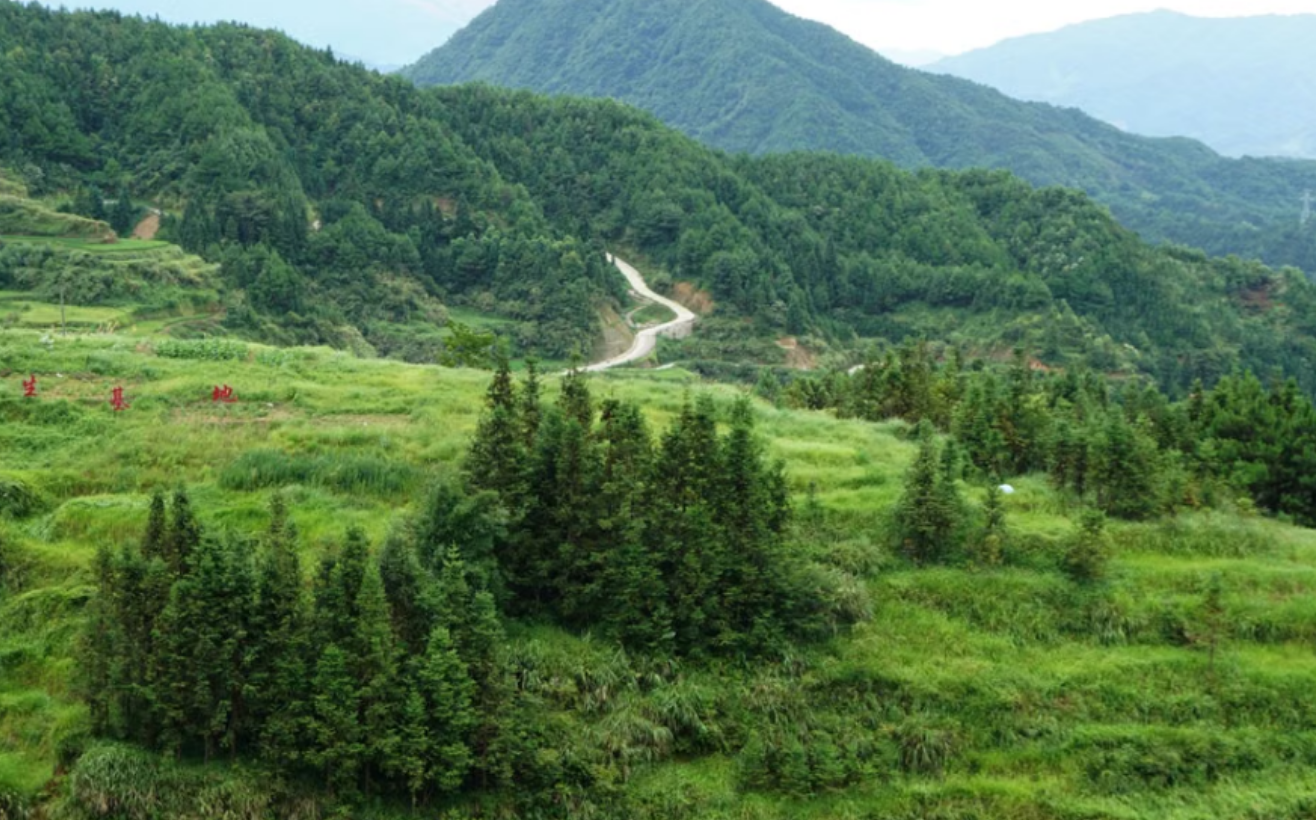 辟谣7大网红护眼误区